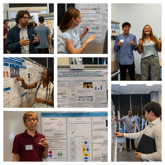 A collection of photos showing undergraduates present posters.
