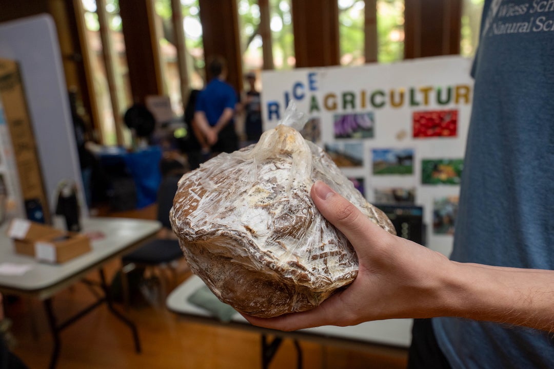 A hand holds a clay-colored bricklike object wrapped in plastic wrap