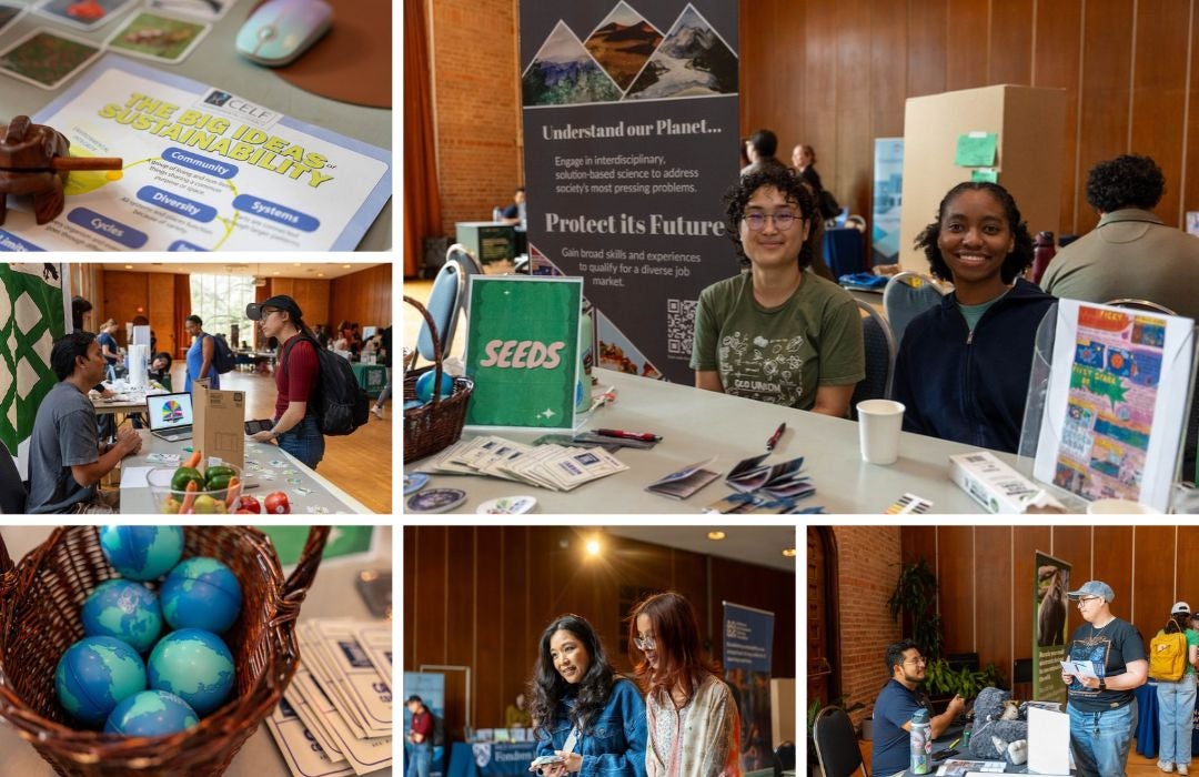 Sustainability Day