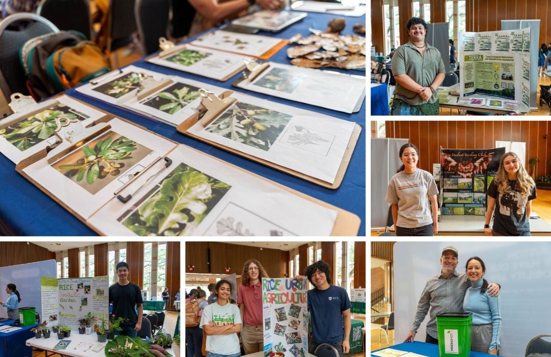 Sustainability Day 2