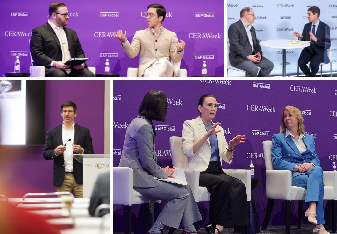 a collage of photos, each showing a person talking on a panel.