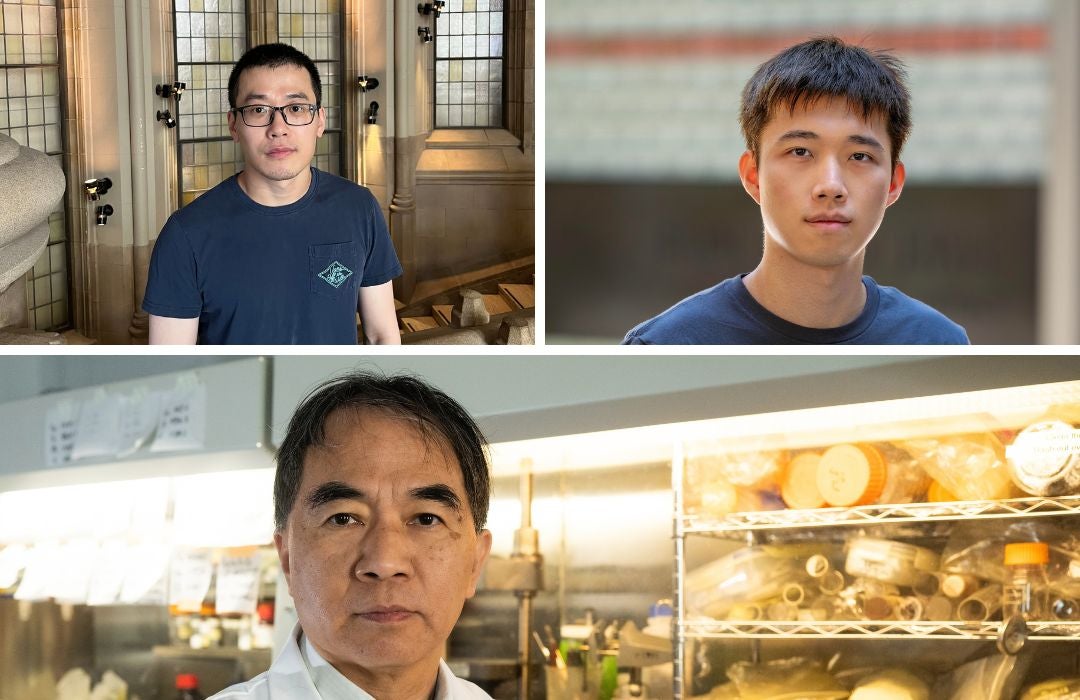 Three headshots show three Asian men