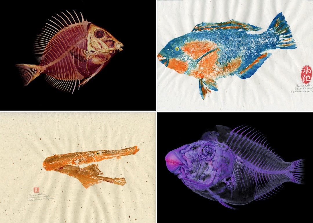 Kory Evans Moody Exhibit