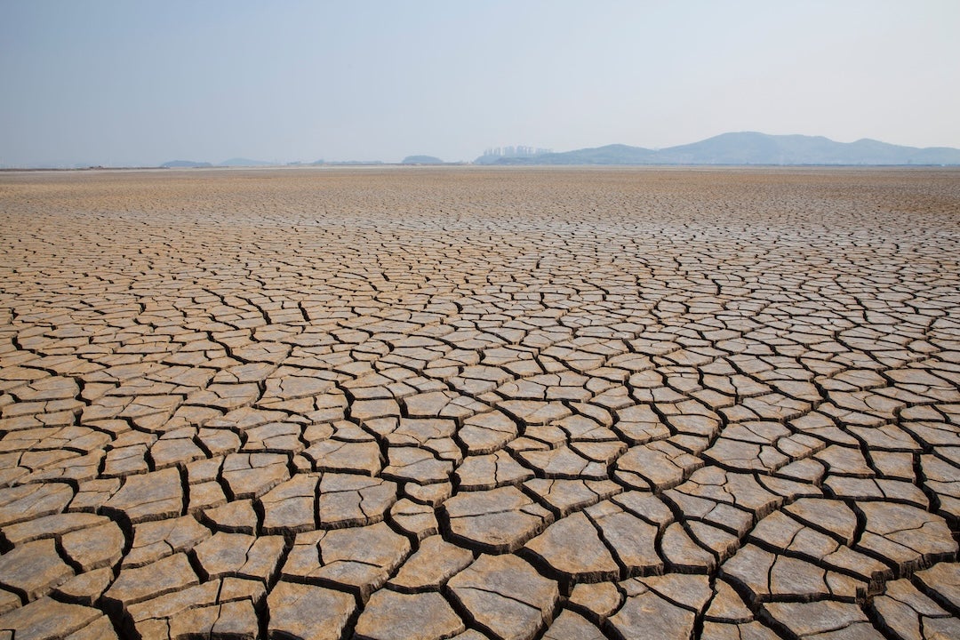 A stock photo of cracked and dry land caused by a drought. 