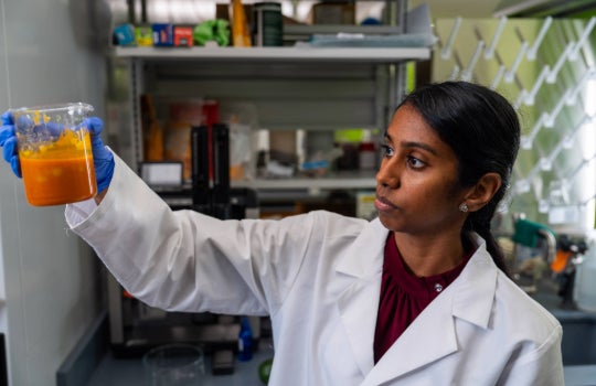 Neethu Pottackal examines a sample of NIVERA’s food coating (Credit: Brandon Martin/Rice University). 