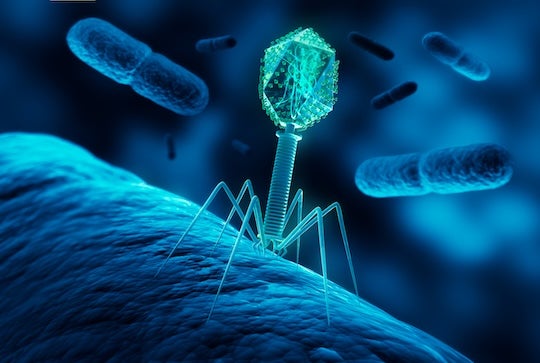 Stock image of a bacteriophage infecting bacterium