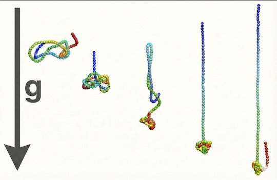 graphic of sedimenting chain