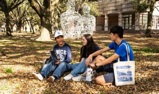 Rice students sitting on ground in front of artwork