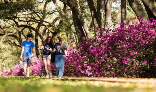 students walking in front of azaleas