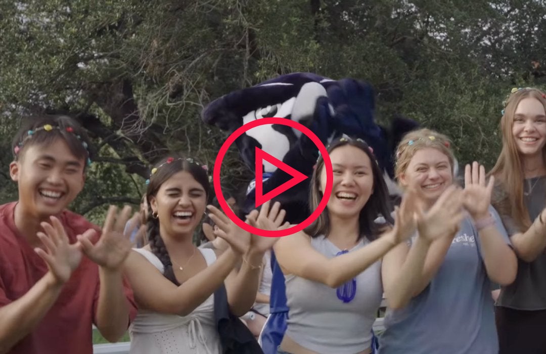 A photo of students enjoying Moody Fest