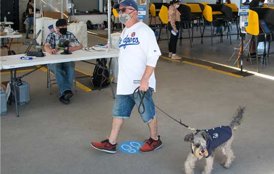 voter with dog