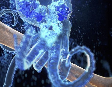 A moderate amount of a peptide-enhanced cancer drug goes a long way in treating breast cancers that metastasize to the bone.