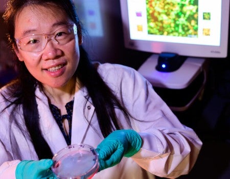 Researchers at Rice University and the University of Connecticut modify a gene editing tool to serve as a highly sensitive diagnostic test for the presence of the SARS-CoV-2 virus.