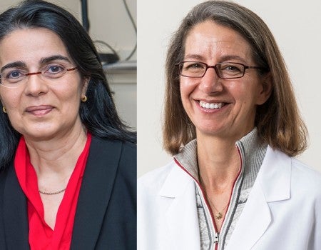 Two renowned Rice professors and a longtime backer win 2023 IEEE Awards.