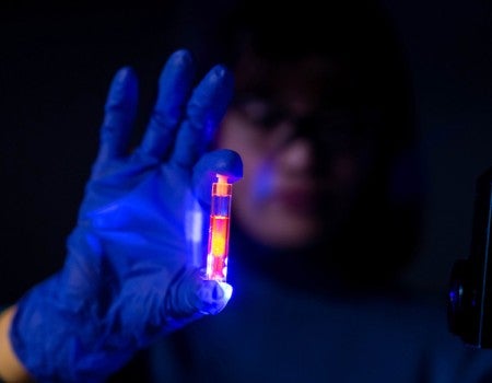 researcher photot