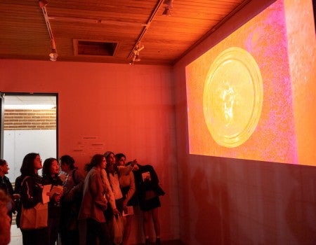 Butterflies installation opening