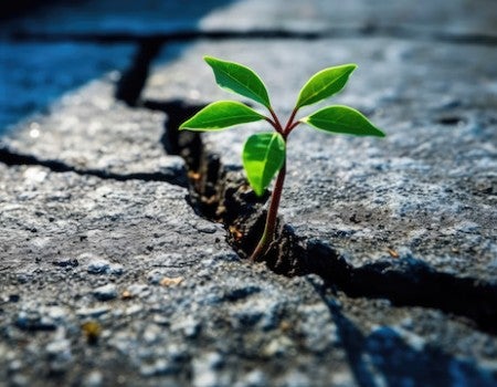 Abstract concept of resilience