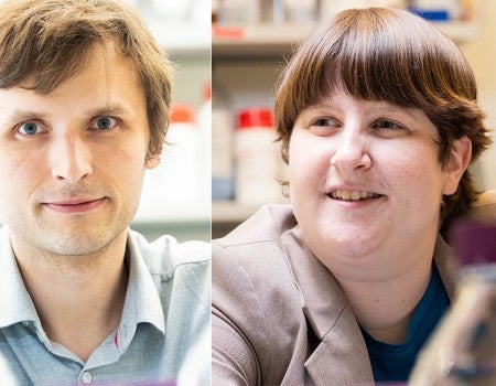 researchers