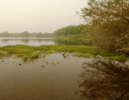 A view of the shallow northern part of Lake Chad. Photo credit:  Mayanne Munan/The World Bank