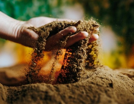 soil stock