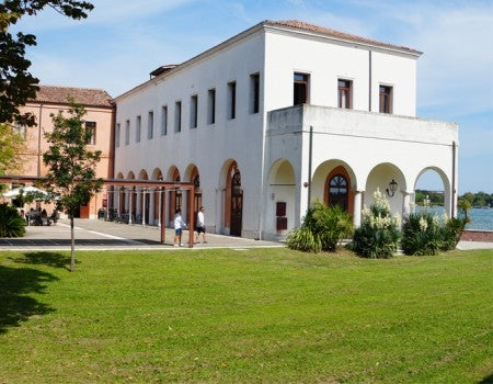 Venice International University