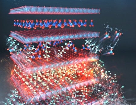 Journal cover image