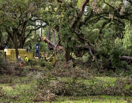 Hurricane Beryl Recovery.