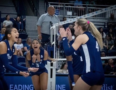 Rice volleyball 2025