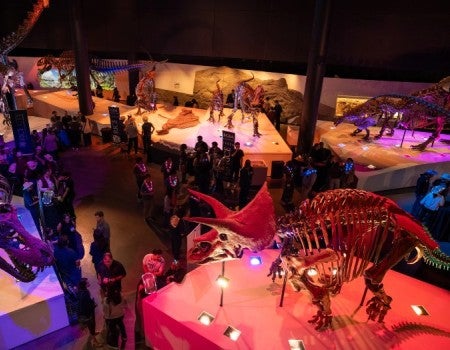 Night at the Museum 2026