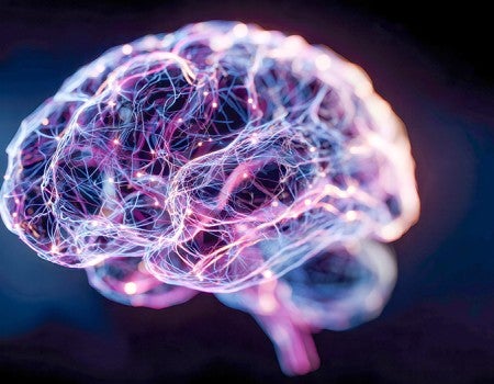 stock image depicting a brain