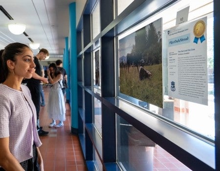 2026 Study Abroad Photo Contest Exhibition