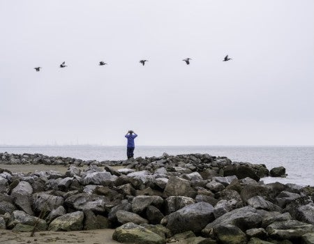 Jim Blackburn, a man in a blue shirt, stands on rocks and looks through binoculars on the Texas coastline 