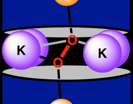 four potassium atoms and two oxygen atoms in between two ligands, each holding a lanthanide atom.