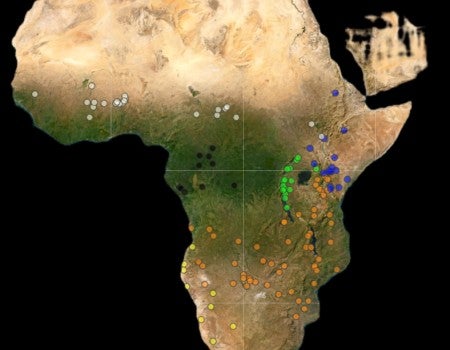 A map of Africa, with dots representing study sites spread over the bottom two-thirds of the continent