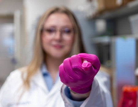 pink-gloved research holding wound patch
