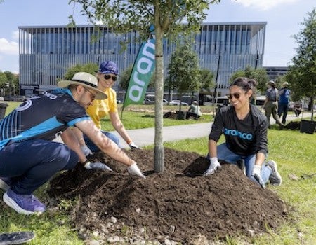 ion trees aramco world cup