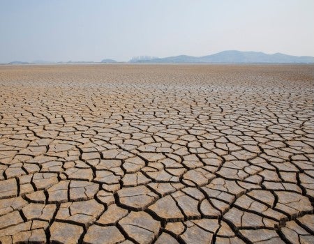 A stock image of cracked ground from a drought. 