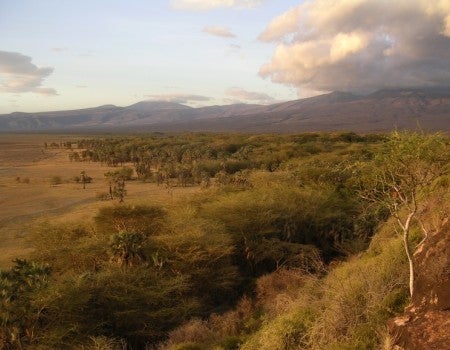 People buried at Gishimangeda Cave near Lake Eyasi (pictured) in Tanzania provided evidence of later herders’ more specialized diets Credit/ Mary Prendergast.jpg