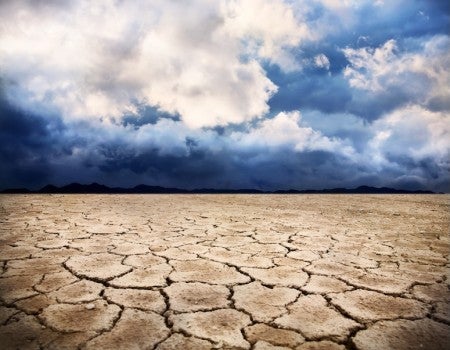 A cracked, dry ground under a cloudy sky. 