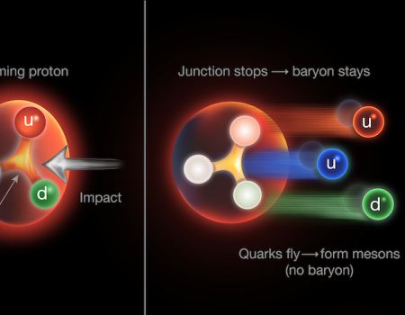 Graphic showing baryon structure and action