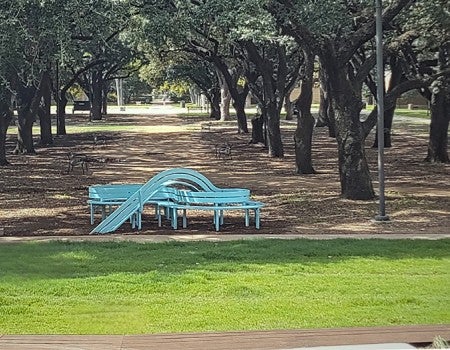 "Social Spaces for Rice University" by Jeppe Hein