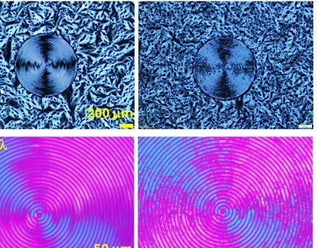 Similarities in molecular organization between parent liquid crystal and daughter crystal phases are apparent under different optical imaging techniques. 