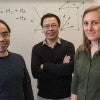 Rice University theoretical physicists Hsin-Hua Lai, Qimiao Si and Sarah Grefe. 