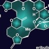Rice University synthetic chemists have simplified the process to make halichondrin B, top, the parent compound of the successful cancer drug eribulin, bottom. Their reverse synthesis reduced the number of steps required to make the natural product. (Credit: Jenna Kripal/Nicolaou Research Group)
