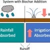 Biochar’s benefits for the long-term sequestration of carbon and nitrogen on American farms are clear, but new research from Rice University shows it can help farmers save money on irrigation as well. The study showed that sandy soil, in particular, gains ability to retain more water when amended with biochar. (Credit: Masiello Lab/Rice University)