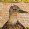 “Jim Blackburn and Isabelle Chapman’s ‘Virus Vigil Day 112: Mottled Duck’