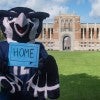 Rice is home away from home for its international students. (Photo by Jeff Fitlow)