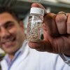 Rice University bioengineer Omid Veiseh with a vial of bead-like implants his lab invented to serve as anti-cancer drug factories