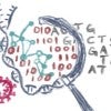 Rice University computer scientists and collaborators develop a program to screen short DNA sequences, whether synthetic or natural, to determine their toxicity. 