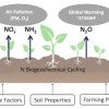 Environmental engineers determine the economic cost of reactive nitrogen emissions from agriculture, and their significant risks to populations through air pollution and climate change.